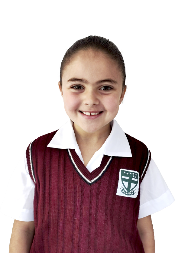 Primaria - Academia Merici